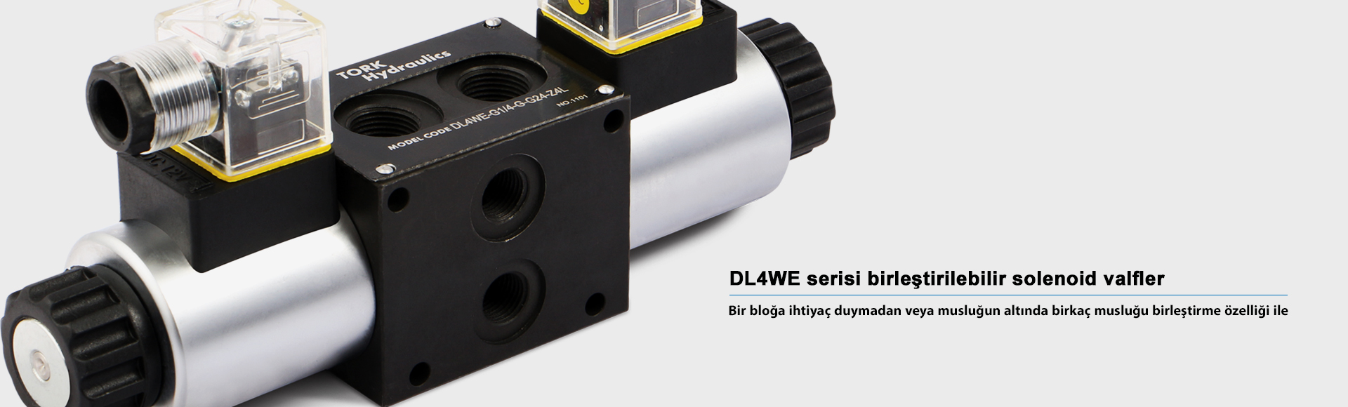 güç üniteleri - 24 volt yatay 6 kaldırma tanklı kilowatt ünitesi - yol inşaatı ve endüstriyel makineler için güç ünitesi - en iyi ve en kaliteli hidrolik güç ünitesi - en iyi ve en kaliteli hidrolik güç ünitesi